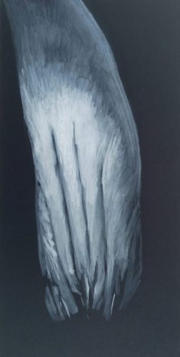 Méditation profonde 26x44