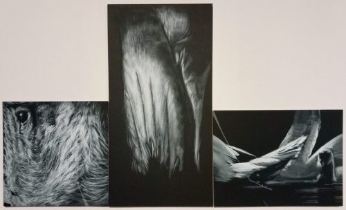 Être-Méditation-Cygneau