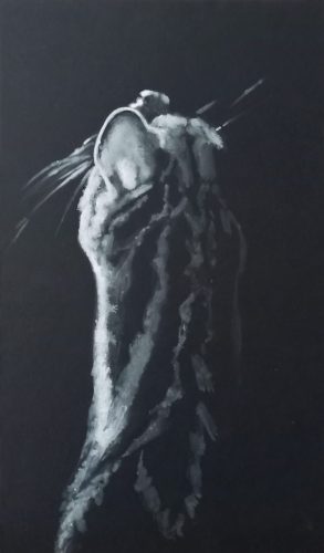 La farouche